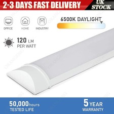 LED Batten Light 6500K