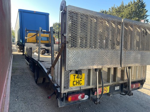 Beavertail plant body electric - plant,