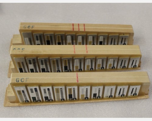 Hohner corona treble reed - hohner,