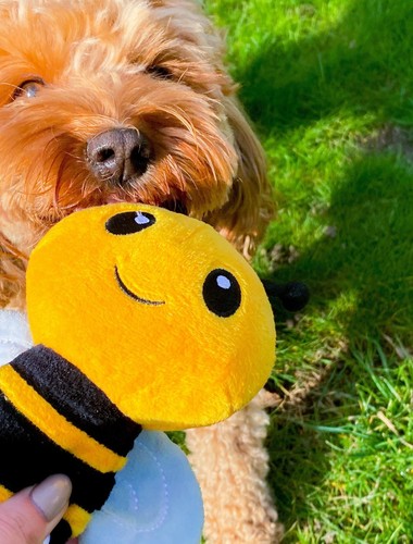 Bumble bee plush soft - bumble, toy