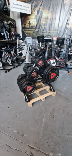 300kg ziva olympic weight - 300kg,