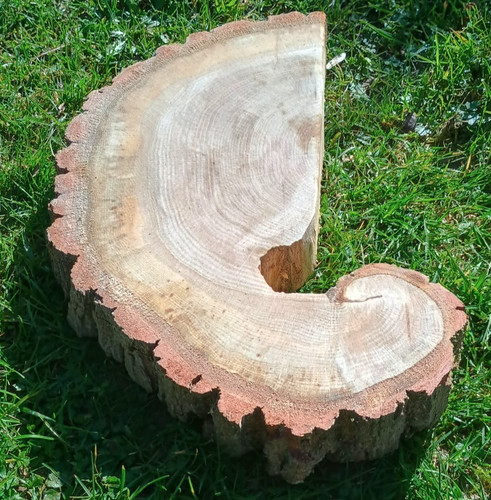 Chopping block cheese - chopping,