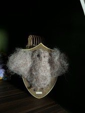 Faux Taxidermy Needle Felted