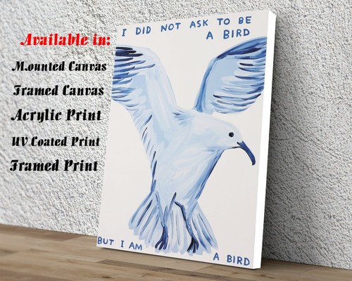 David shrigley bird art - be,