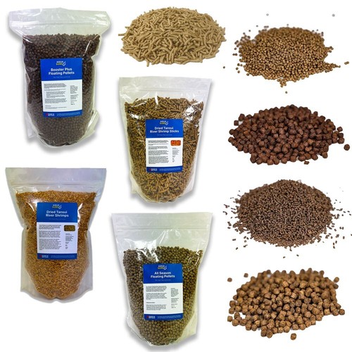 Koi fish pond feeding pellet - feeding,