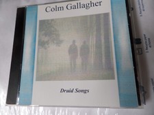 Colm Gallagher-DRUID SONGS Irish whistle player- Blood Or Whiskey- Celtic PUNK