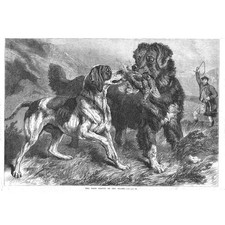 HUNTING First Grouse of Season