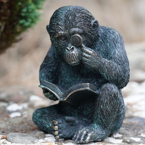 Studious ape resin - resin, monkey