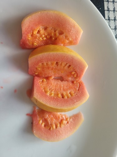 Pink guava psidium guajava - guava/psidium,