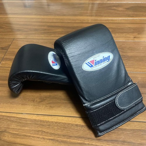 Winning bag punching gloves - bag,