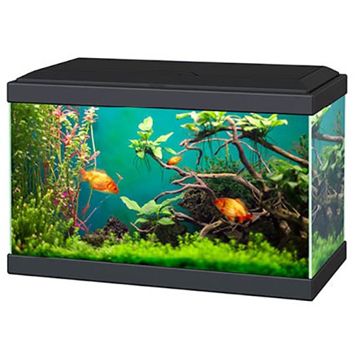 Ciano aqua classic aquarium - classic,