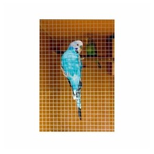 Ambassador Cage & Aviary Welded Panel  ST201