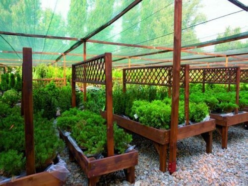 Greenhouse shade net scaffold - greenhouse,