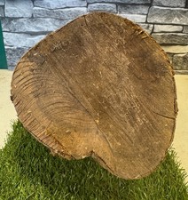 30 Year Air Dried Yew Wood