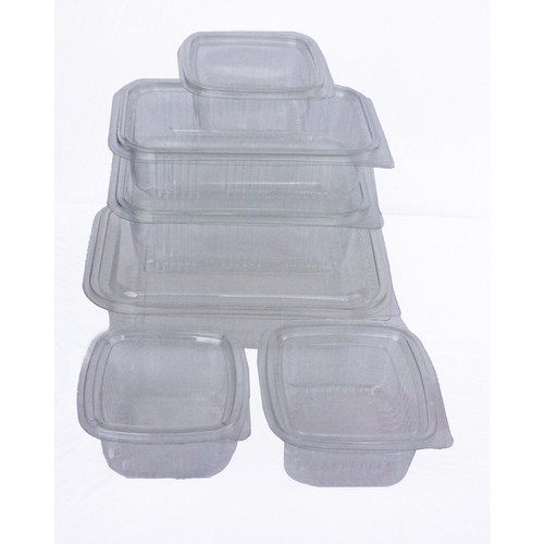 Clear plastic hinged lid - hinged,