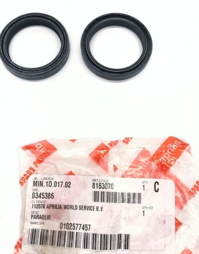 Aprilia etv 1000 - 1000, 2001-2007