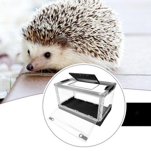 Reptile feeding box hamster - box,