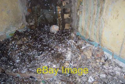 Photo 6x4 pigeon house - photo,