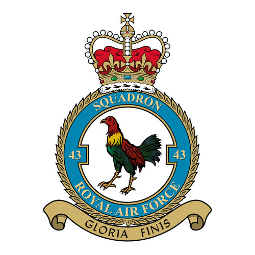 Squadron raf badge - 43,