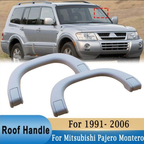 Pillar roof handle - 2x,