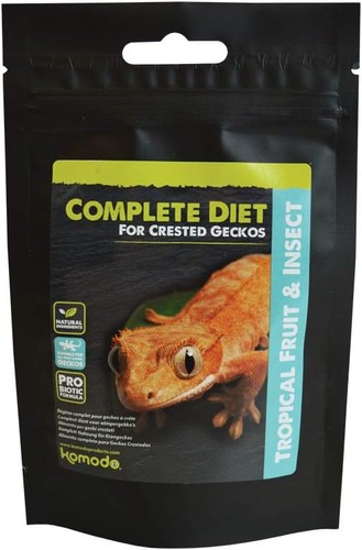 Komodo crested gecko - crested, complete