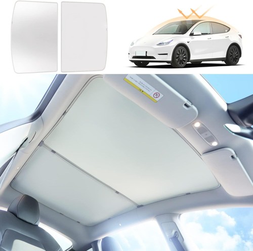 Ybiz tesla model - model, 2021-2024