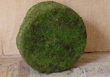 Antique 18th/ 19th Century