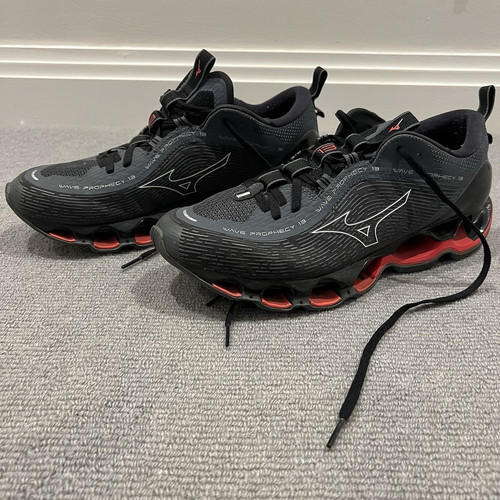Mizuno wave prophecy - mizuno, 13