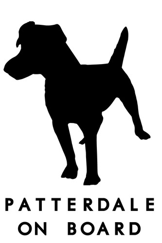 Patterdale terrier dog - terrier,