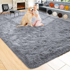 Large Shaggy Rugs Anti Slip