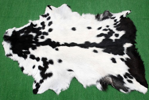 Luxury goat hide - rug, hair