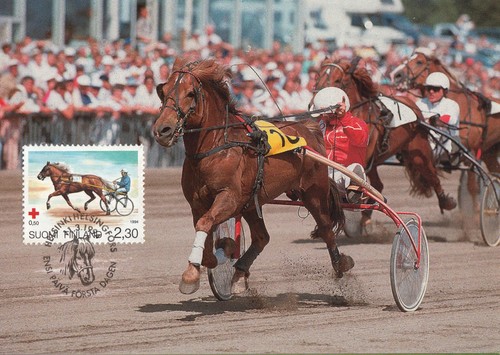 Trotting races harness racing - races,