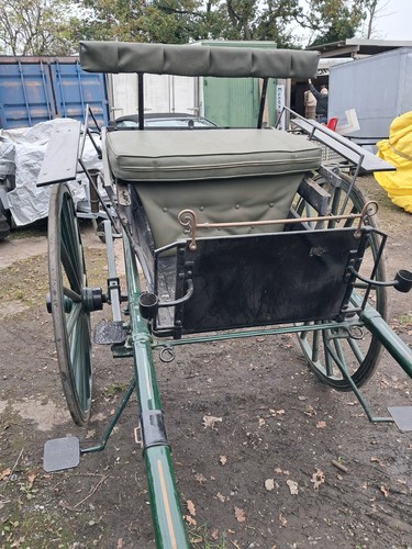 Horse carts carriages - horse,