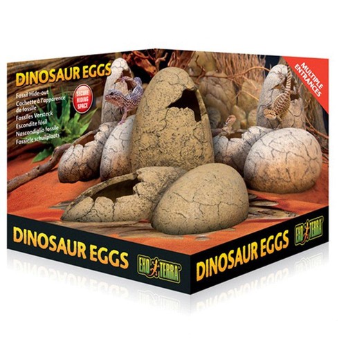 Exo terra dinosaur eggs fossil - terra,