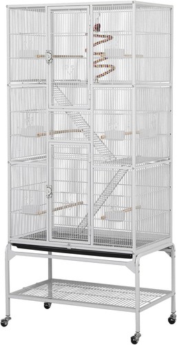 Large african grey parrot bird - large,