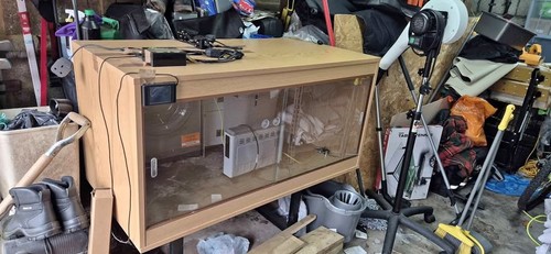 Reptile vivarium - reptile,