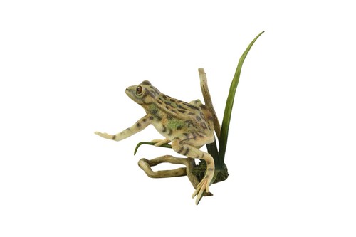 Country artists frog - country, artists,