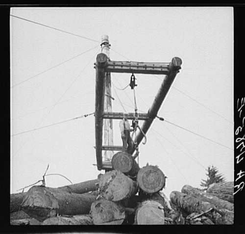 Photo logging timber loader - photo:logging,