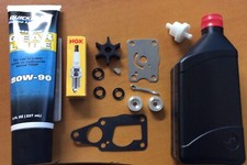 Annual SERVICE KIT + OILS 4HP 5HP 6HP Suzuki DF4 DF5 DF6 Outboard CPR6EA-9 PLUG