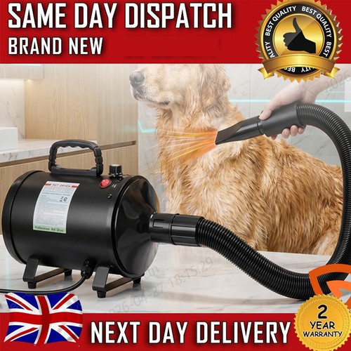 Motorbike motorcycle pet - motorcycle,