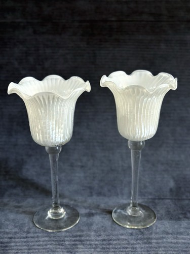 Vintage white tulip lotus long - lotus,