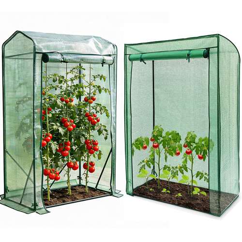 Garden tomato plant - tomato, growbag