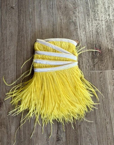 Ostrich feather trim - ostrich,