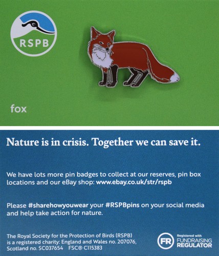 Rspb pin badge - badge, fox