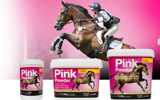 NAF In The Pink Powder Horse