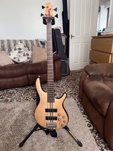Cort artisan plus fmmh bass - artisan, a4