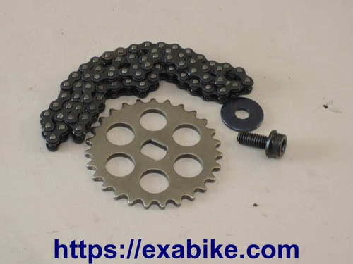 Sprocket and oil - pump, chain