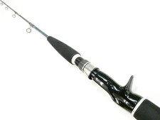Daiwa SALTIGA Coastal 58B-2/3
