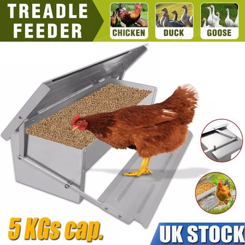 5kg automatic chicken chook - 5kg,