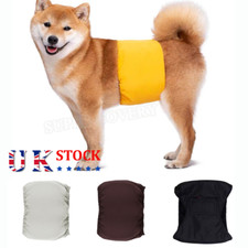Male Dog Puppy Pet Nappy